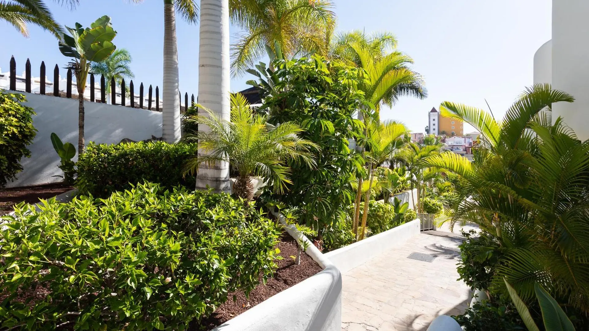 The Paradise Suites By Anne, Charm Apartment In Adeje Costa Adeje  Spain